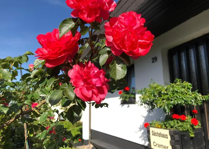 Gästehaus Cramer Bad Kissingen